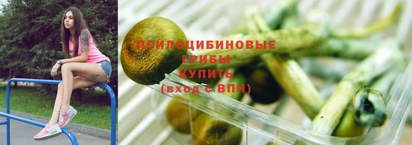 ГАЛЛЮЦИНОГЕННЫЕ ГРИБЫ Алексеевка