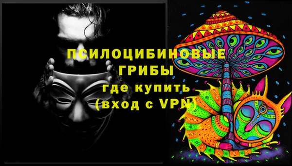 прущий лед Алзамай