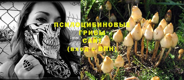 ГАЛЛЮЦИНОГЕННЫЕ ГРИБЫ Алексеевка