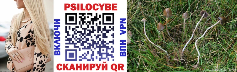 KRAKEN ссылка  Апрелевка  Псилоцибиновые грибы Psilocybe 